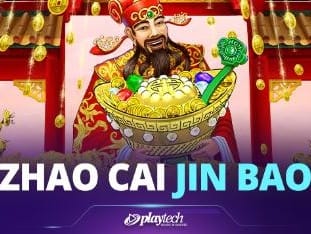 Zhao Cai Tong Zi game icon