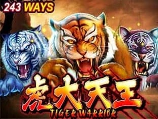 Tiger Warrior game icon